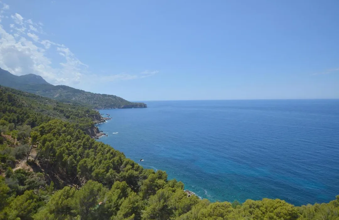 Alconasser 10 - Amazing Seaviews Between Deia & Soller-1